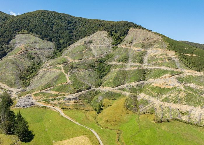  at Tunakino Valley, Rai Valley, Marlborough, Marlborough