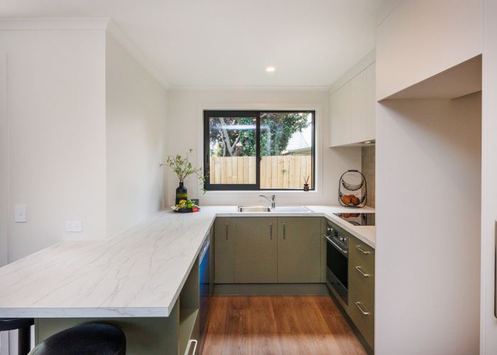  at 15A Ihle Street, Terrace End, Palmerston North, Manawatu / Whanganui