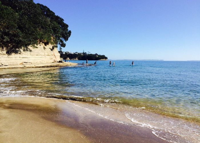  at 16C Hastings Road, Mairangi Bay, North Shore City, Auckland