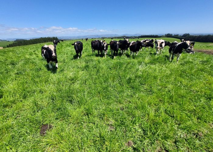  at 831 Smiths Track, Balclutha, Clutha, Otago