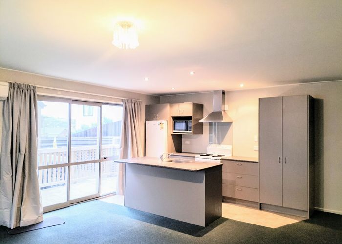  at 45A Lees Street, City Centre, Dunedin, Otago