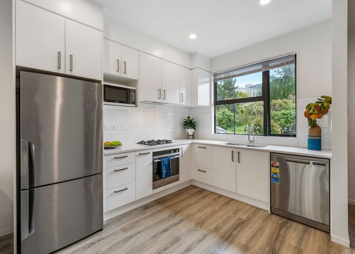  at 38 Ti Kouka Lane, Sandringham, Auckland