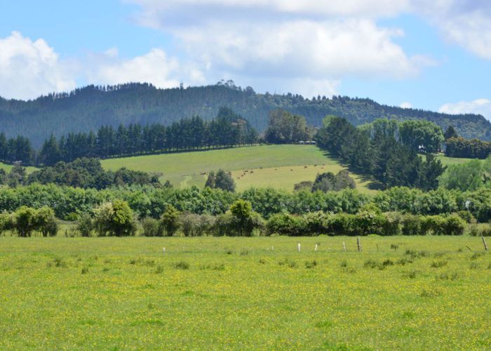  at 464 Woodcocks Road, Warkworth, Warkworth