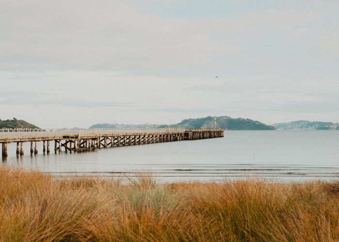  at 73 Adelaide Street, Petone, Lower Hutt