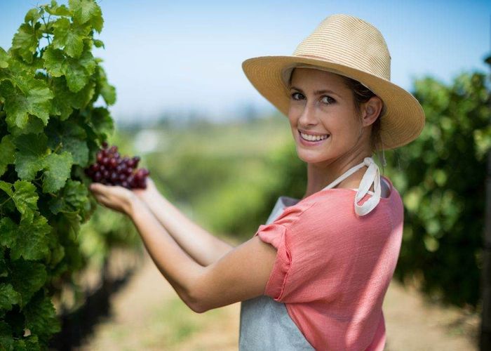  at Waimauku, Rodney, Auckland