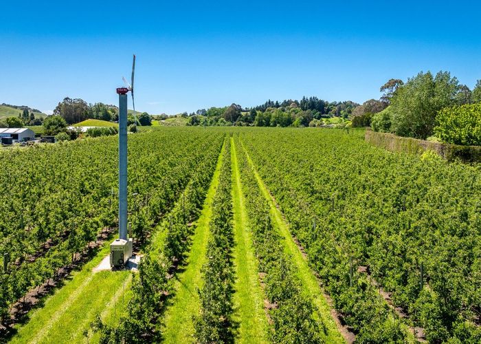  at Rakete Orchards LP, Hastings Central, Hastings, Hawke's Bay