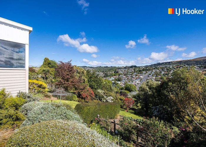  at 12 Ann Street, Roslyn, Dunedin
