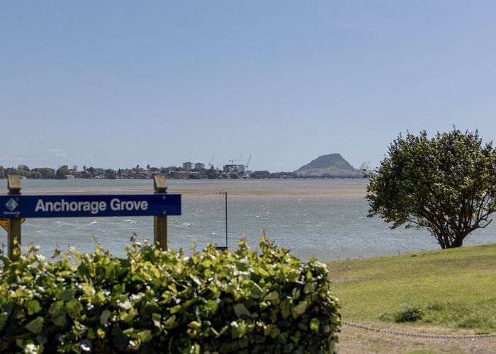  at 8A Anchorage Grove, Maungatapu, Tauranga