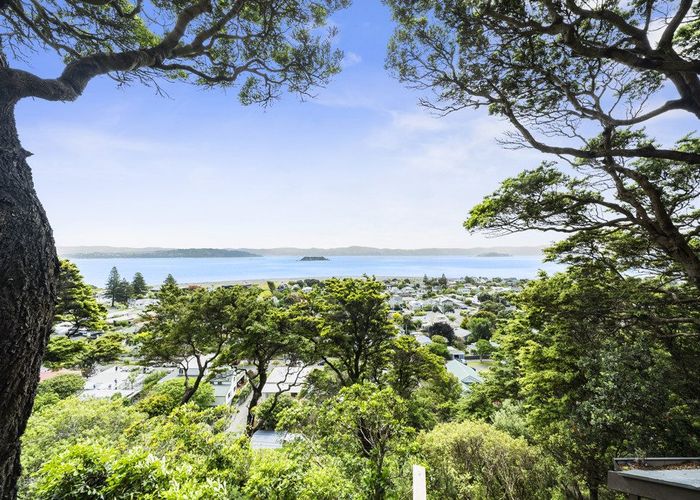  at 5 Karaka Street, Eastbourne, Lower Hutt, Wellington