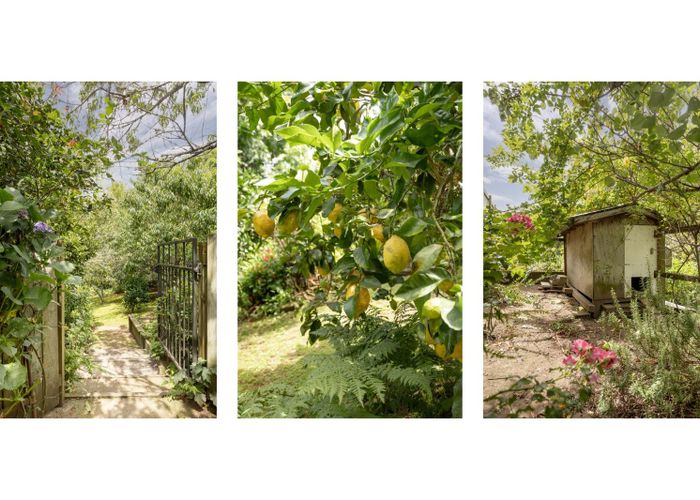  at 20 Emmerdale Place, Ohauiti, Tauranga, Bay Of Plenty