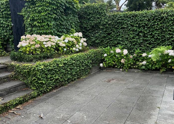  at 3/9 Gardner Rd, Epsom, Auckland City, Auckland