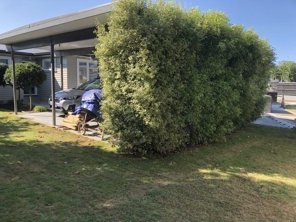  at 3 Woodstock Place, Hokowhitu, Palmerston North, Manawatu / Whanganui