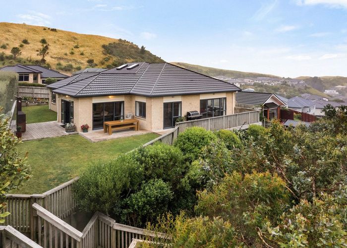  at 17 Gifford Grove, Churton Park, Wellington, Wellington