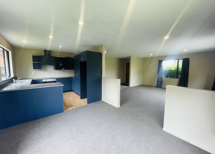  at 20 Ballymena Drive, Belfast, Christchurch City, Canterbury