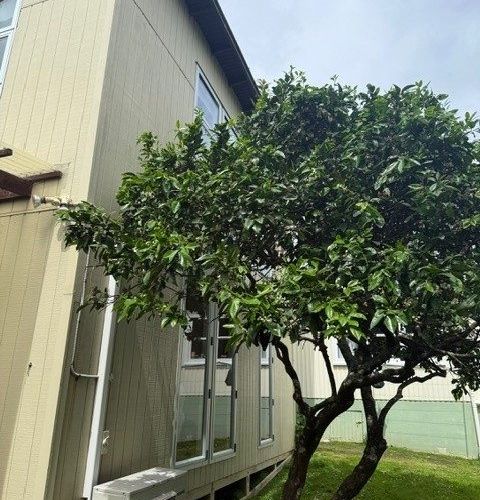  at 40A Fontenoy Street, Mount Albert, Auckland City, Auckland
