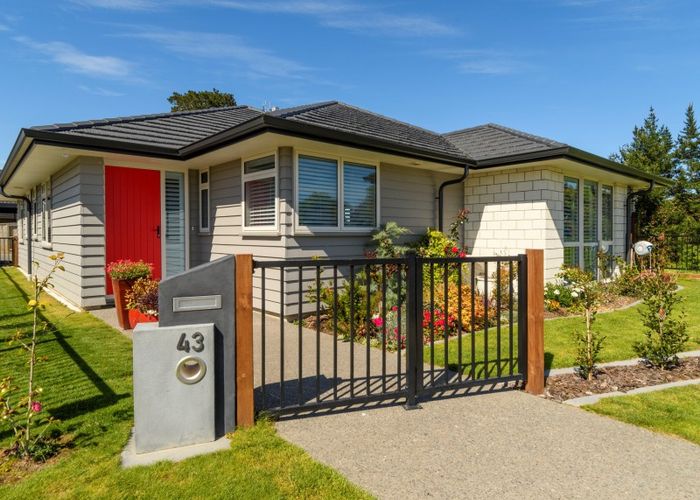  at 43 Parau Drive, Bethlehem, Tauranga