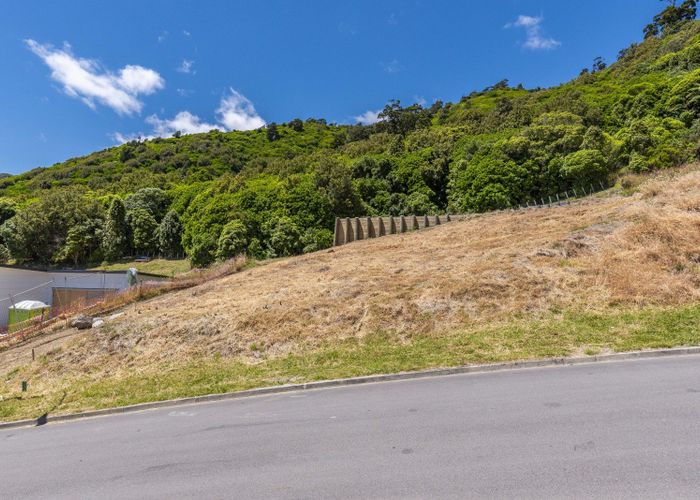  at 43 Wilson Way, Waikanae, Kapiti Coast, Wellington