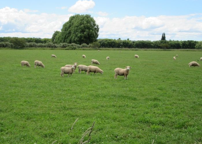  at 3389 State Highway 2, Waipukurau