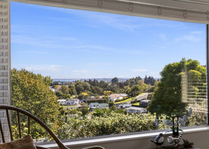  at 33A Brookfield Terrace, Brookfield, Tauranga, Bay Of Plenty