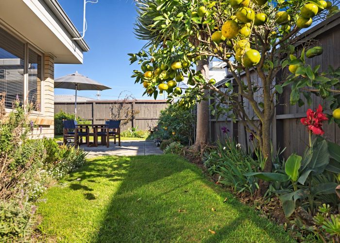  at 44a Lee Street, Mount Maunganui, Tauranga, Bay Of Plenty