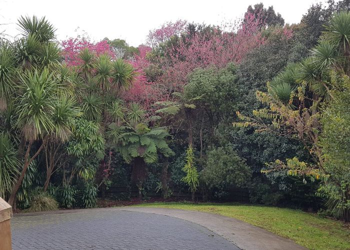  at 33b Esk Street - PARKVALE, Parkvale, Tauranga, Bay Of Plenty