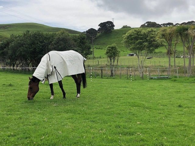  at Lot 2 DP480579 South Head Road, South Head, Rodney, Auckland