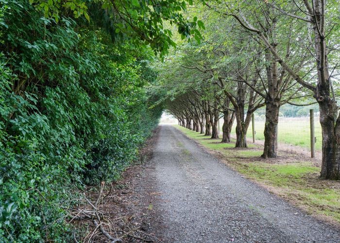  at 644 Ryal Bush Wallacetown Road, Wallacetown, Invercargill, Southland