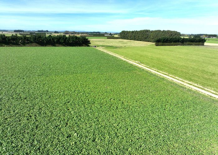  at 200 Rakahouka Grove Bush Road, Invercargill, Invercargill, Southland