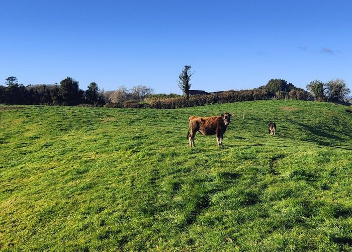  at Lot 1 Tarata Road, Inglewood, New Plymouth, Taranaki