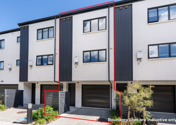  at 19 Henry Maxwell Way, Flat Bush, Manukau City, Auckland