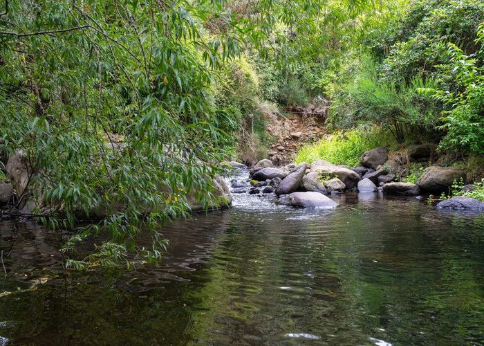 For sale 462 Waitati Valley Road, Waitati, Dunedin, Otago homes.co.nz