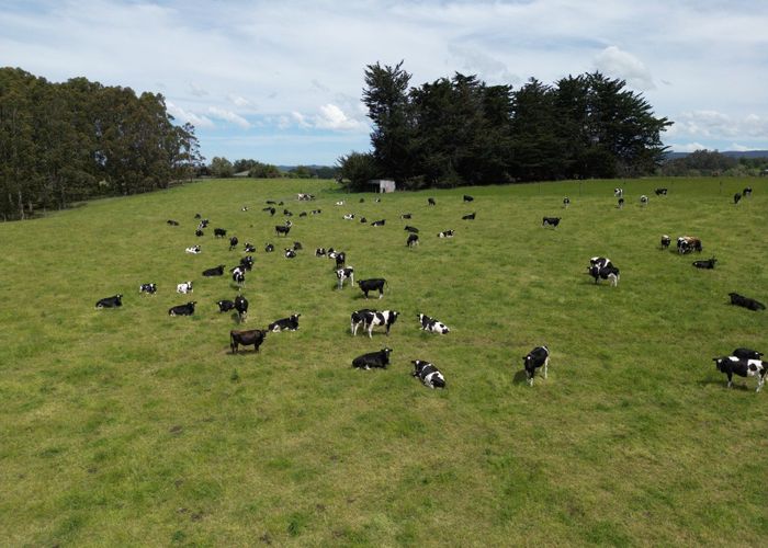  at 236 Kakapuaka Road, Balclutha, Clutha, Otago