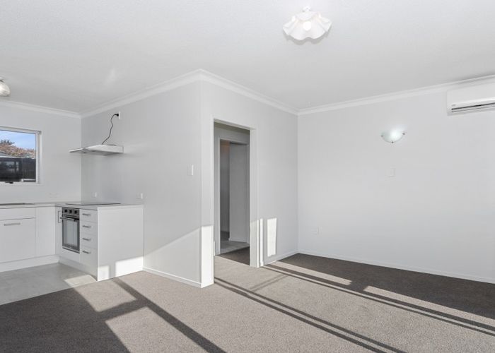  at 8A Greerton Road, Gate Pa, Tauranga