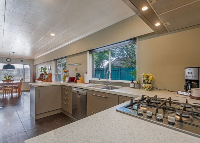  at 19 Humphries Place, Awapuni, Palmerston North