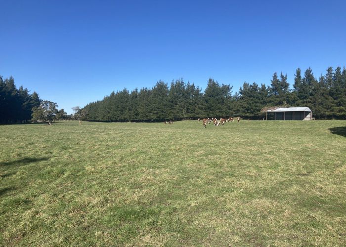  at Caldwell Road, Ongaonga, Central Hawke's Bay, Hawke's Bay