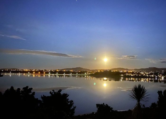  at 49 Baycroft Avenue, Parkvale, Tauranga, Bay Of Plenty