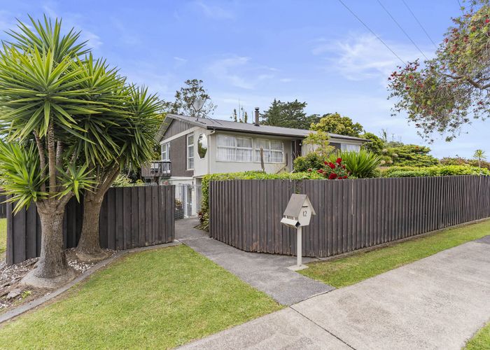  at 12 Roseburn Place, Pakuranga, Auckland