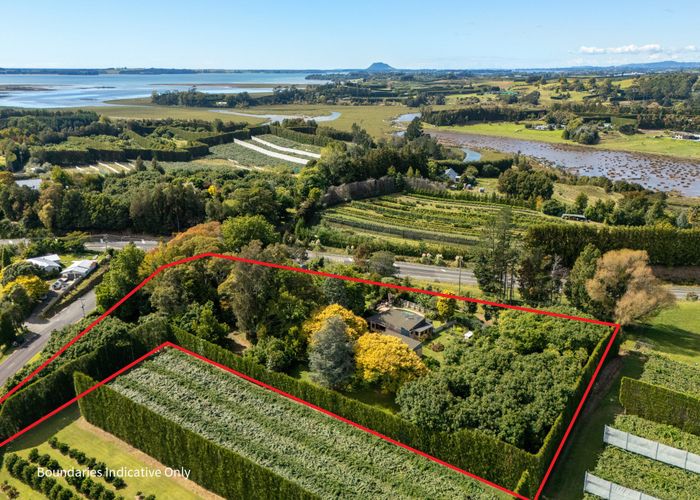  at 9 Work Road, Aongatete, Western Bay Of Plenty, Bay Of Plenty
