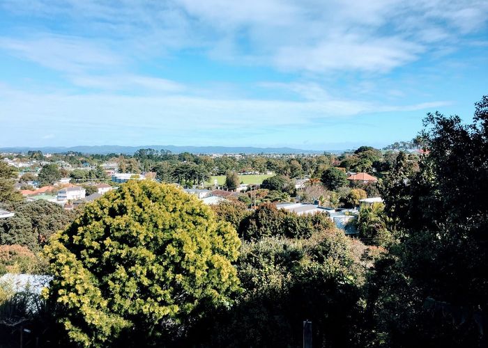  at 29 Rona Avenue, Grey Lynn, Auckland City, Auckland