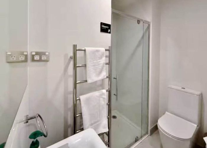  at 313/32 Swanson Street, City Centre, Auckland City, Auckland
