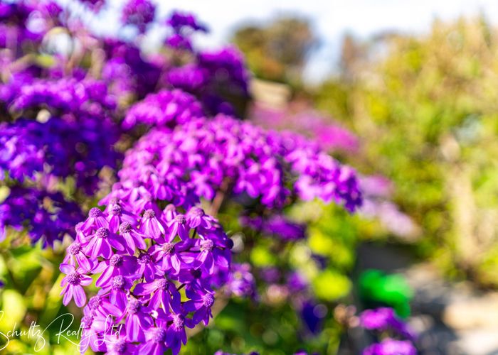  at 10 Oxford Street, Whakapirau, Kaipara, Northland