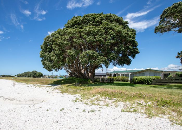  at 42 One Tree Point Road, One Tree Point