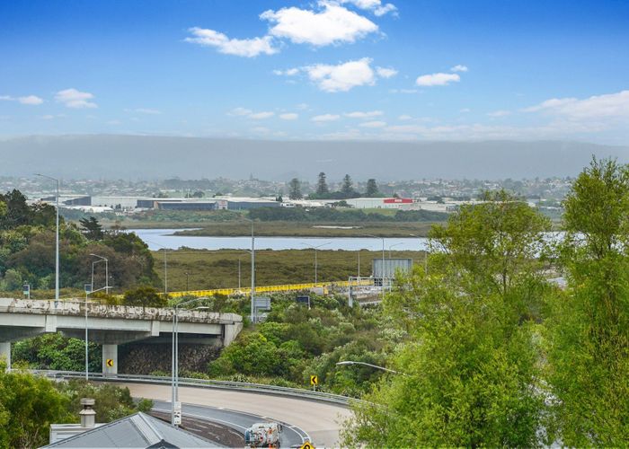  at 60 Miller Street, Point Chevalier, Auckland City, Auckland