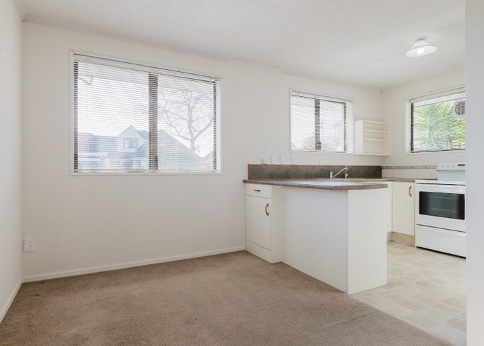  at 4 McArthur Street, Terrace End, Palmerston North