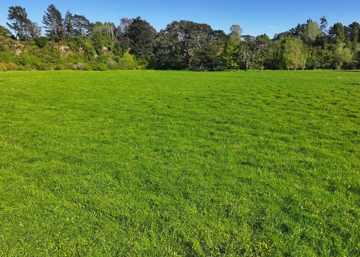  at 84326 State Highway 2, Eketahuna, Tararua, Manawatu / Whanganui