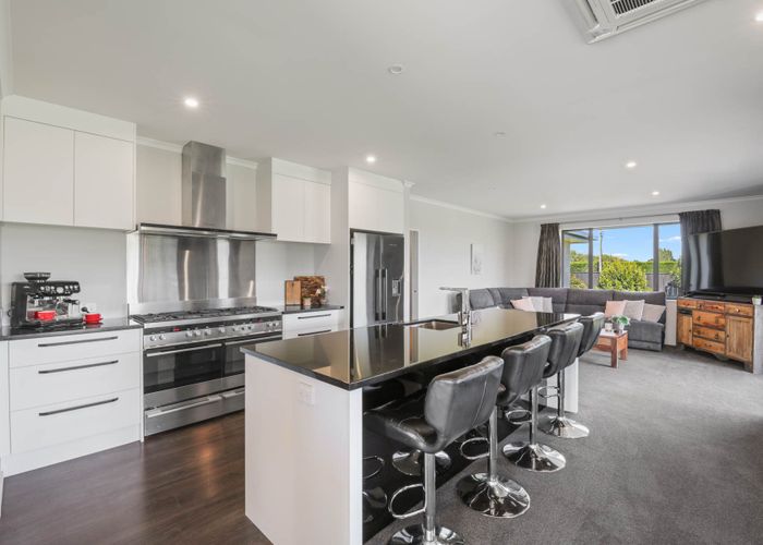  at 33 Birchwood Avenue, Burleigh, Blenheim, Marlborough