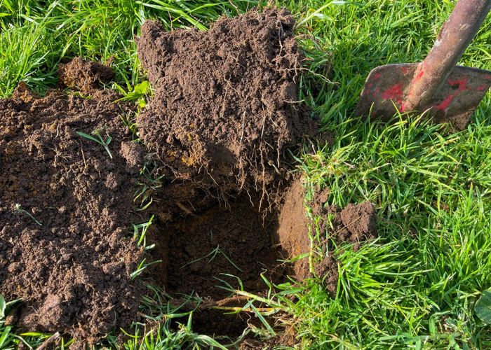 For sale 392 and 421 Journeys End, Tapora, Tapora, Rodney, Auckland