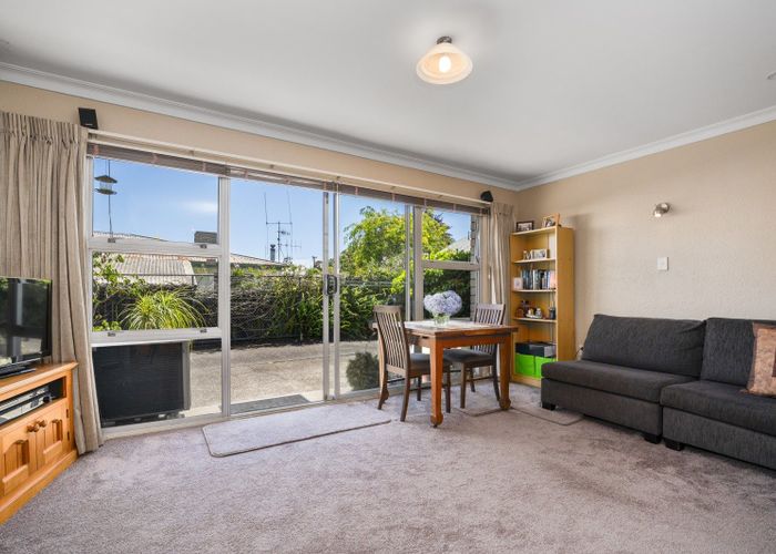  at 8B Greerton Road, Gate Pa, Tauranga, Bay Of Plenty