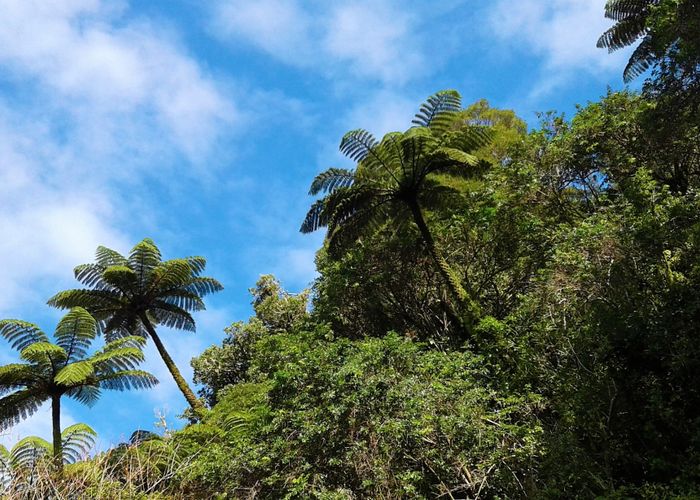  at 1216 Wekaweka Rd, Waimamaku, Far North, Northland