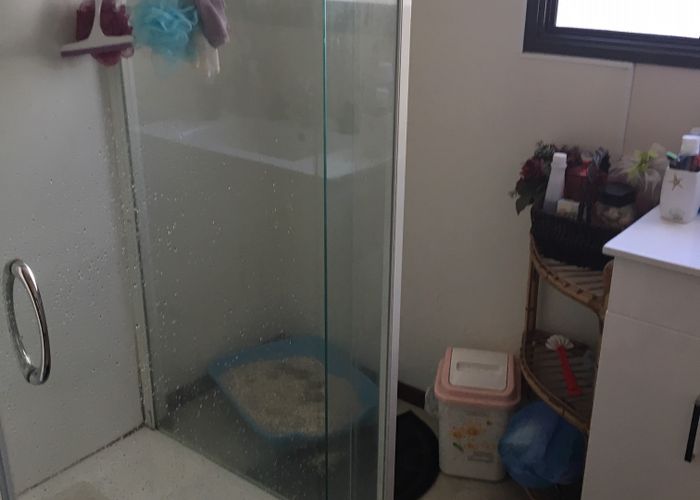  at 5A Mansfield Street, Hairini, Tauranga